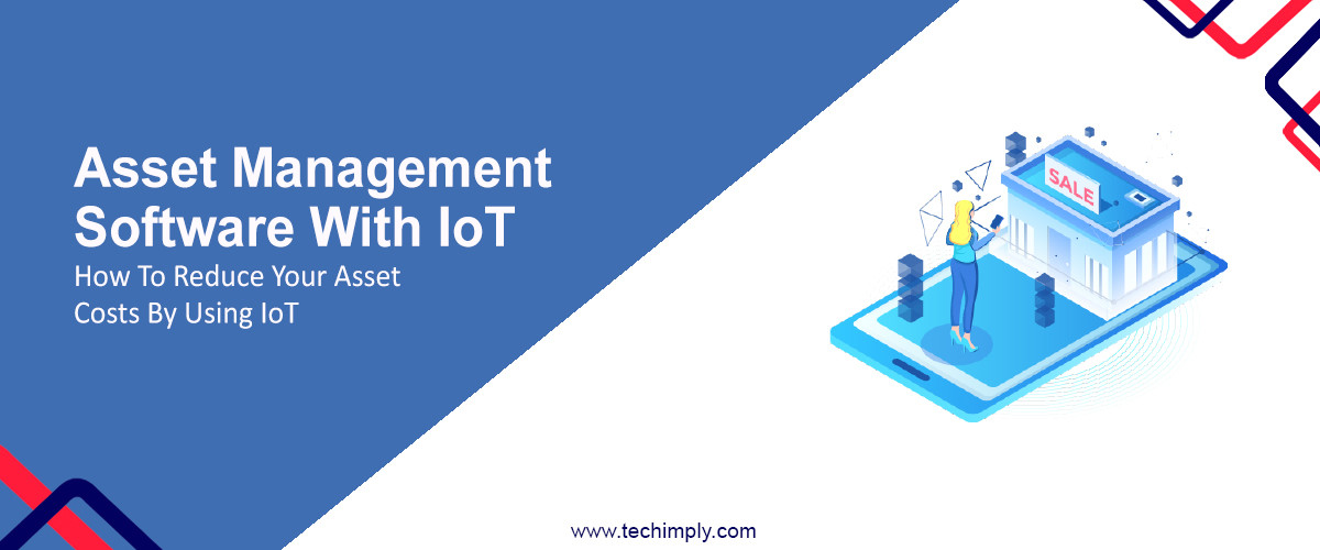 Asset Management Software With IoT – How To Reduce Your Asset Costs By Using IoT
